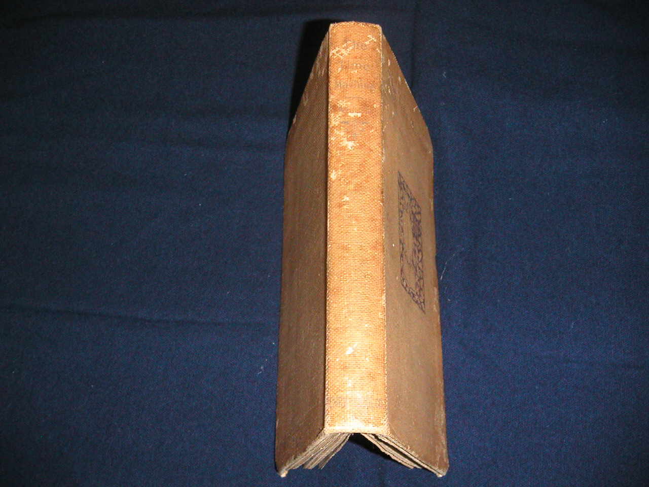 spine